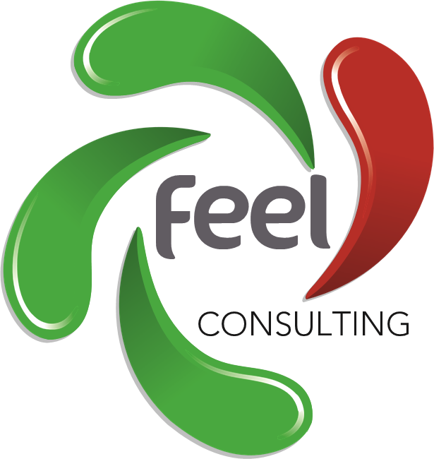FEEL Consulting